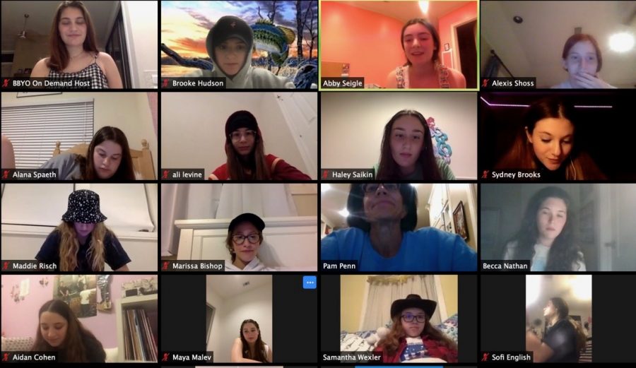 Students chat with their friends on Zoom