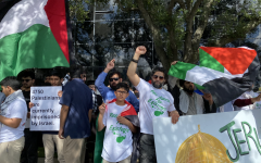 Crowds in Houston protest against violence in Palestine